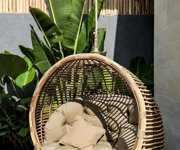 Jungle Rendez Vous By Balisuperhost *